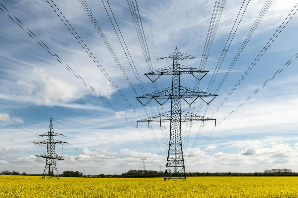 Linie elektroenergetyczne nad polem rzepaku